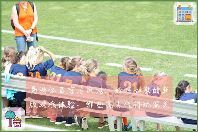 易游体育官方网站：好评如潮的新版游戏体验，哪些亮点值得玩家关注？