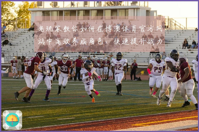 老玩家教你如何在博澳体育官方网站中高效养成角色，快速提升战力！