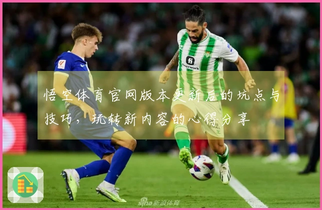 悟空体育官网版本更新后的坑点与技巧，玩转新内容的心得分享